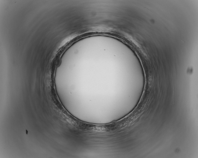 X0000096991315200802291200