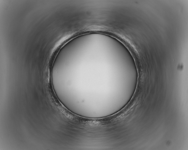 X0000096991317200802291200