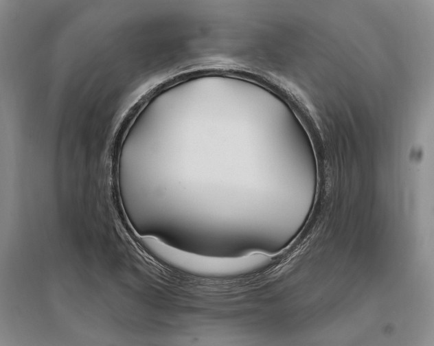 X0000096991318200802291200