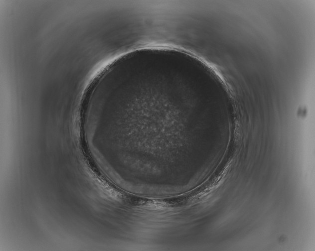 X0000096991319200802291200