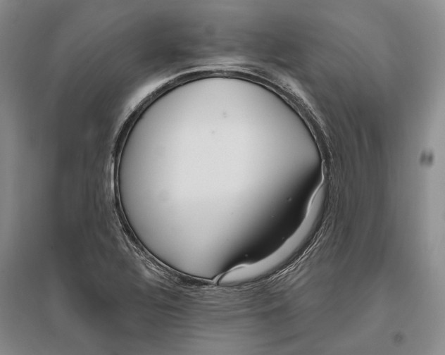 X0000096991320200802291200