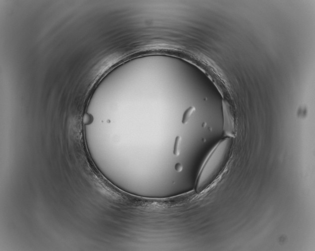 X0000096991321200802291200