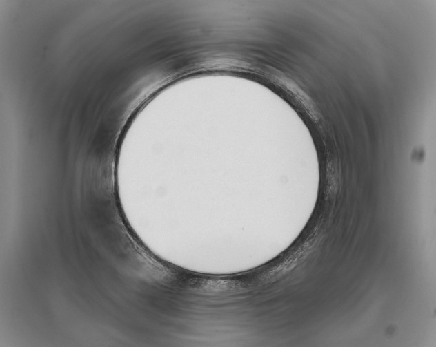 X0000096991322200802291200