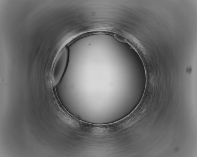 X0000096991324200802291200