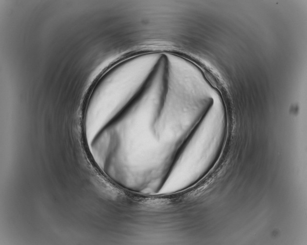 X0000096991325200802291200