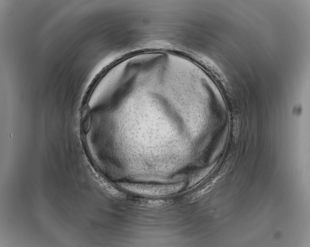 X0000096991326200802291200