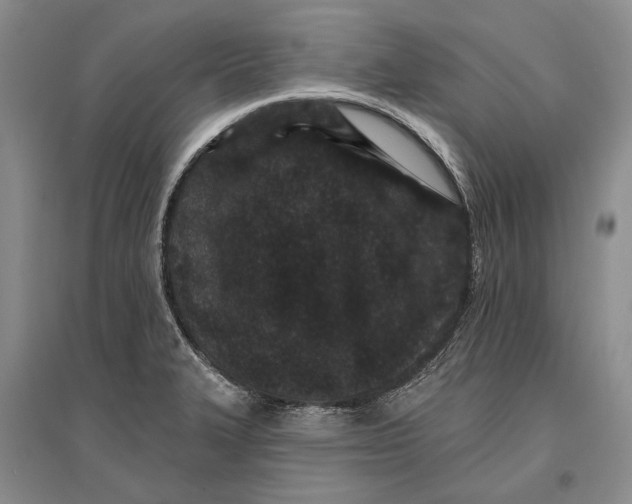 X0000096991327200802291200