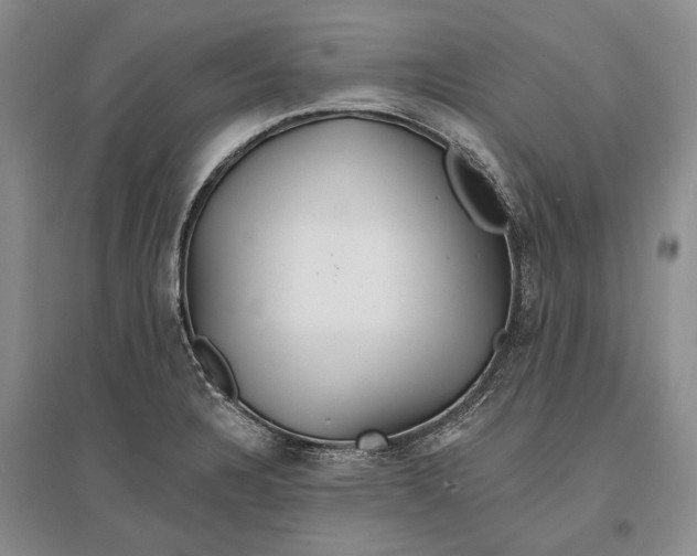 X0000096991328200802291200