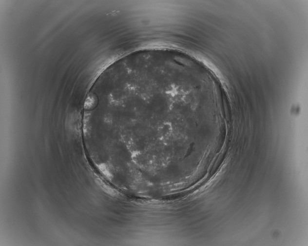 X0000096991329200802291200