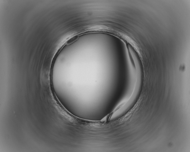 X0000096991330200802291200