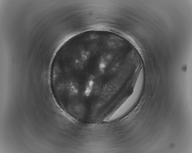 X0000096991331200802291200