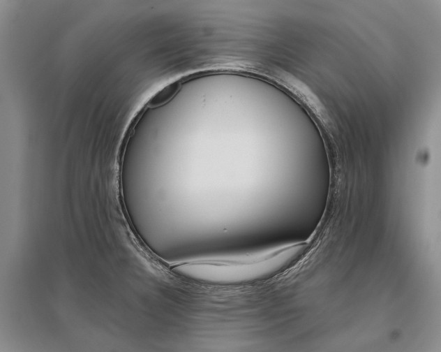 X0000096991332200802291200