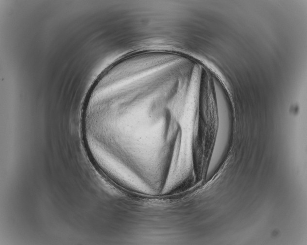 X0000096991333200802291200