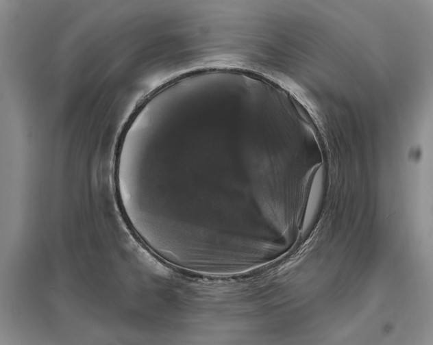 X0000096991334200802291200