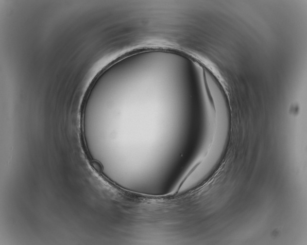 X0000096991335200802291200