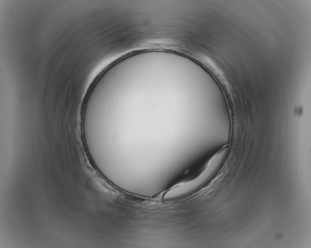 X0000096991336200802291200