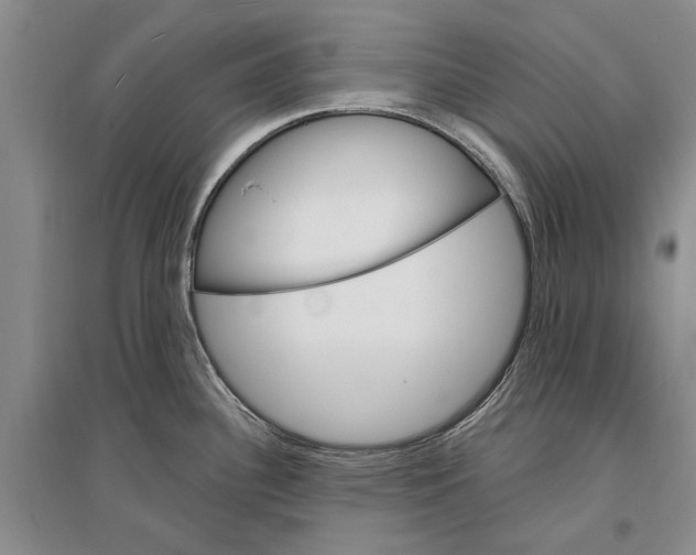 X0000096991340200802291200