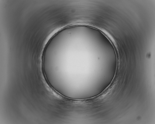 X0000096991341200802291200