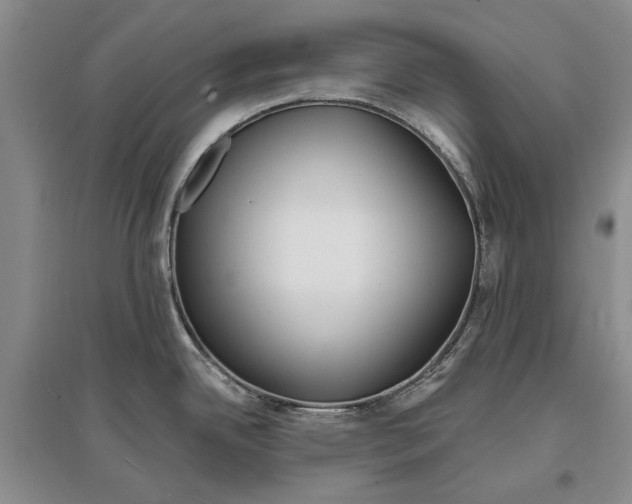 X0000096991342200802291200