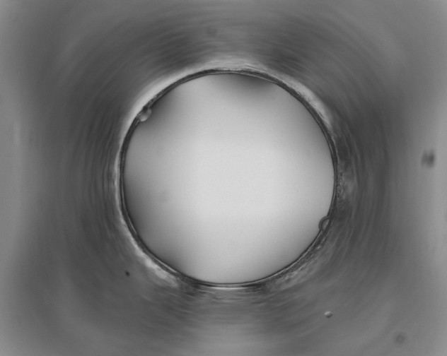 X0000096991343200802291200