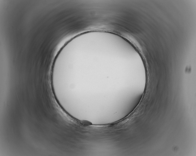 X0000096991344200802291200