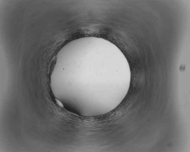 X0000096991345200802291200