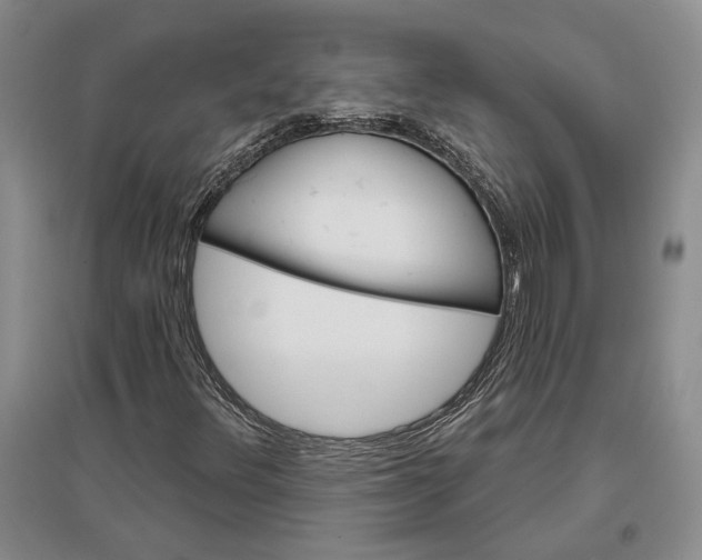 X0000096991348200802291200