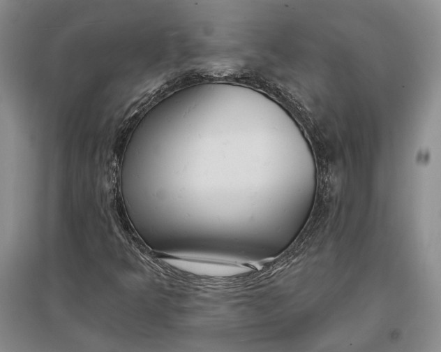 X0000096991349200802291200