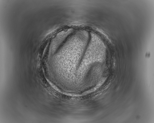 X0000096991350200802291200