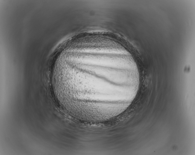 X0000096991351200802291159