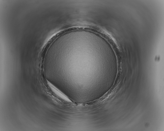 X0000096991352200802291159