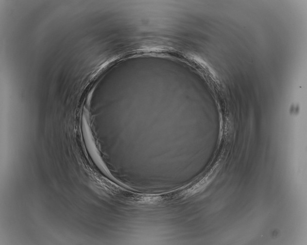 X0000096991353200802291159