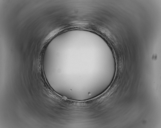 X0000096991354200802291159