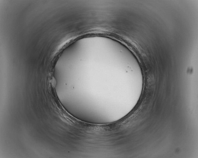 X0000096991355200802291159