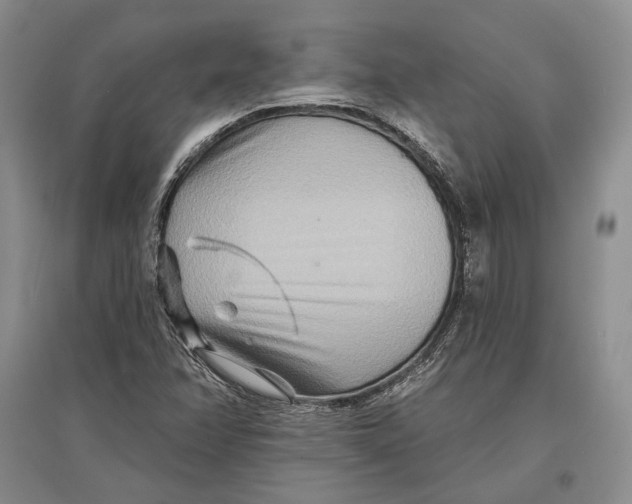 X0000096991358200802291159