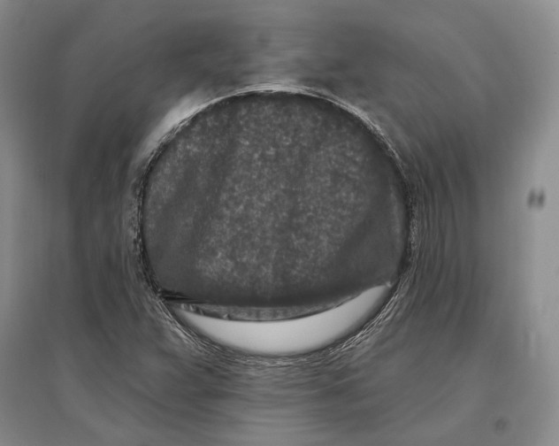 X0000096991359200802291159