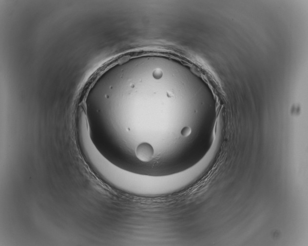 X0000096991360200802291159