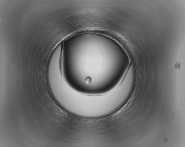 X0000096991361200802291159