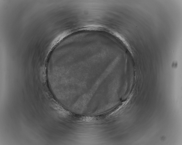 X0000096991362200802291159