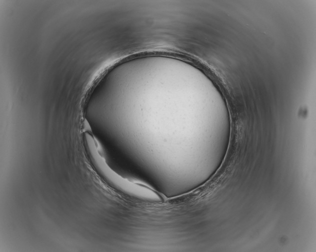 X0000096991363200802291159