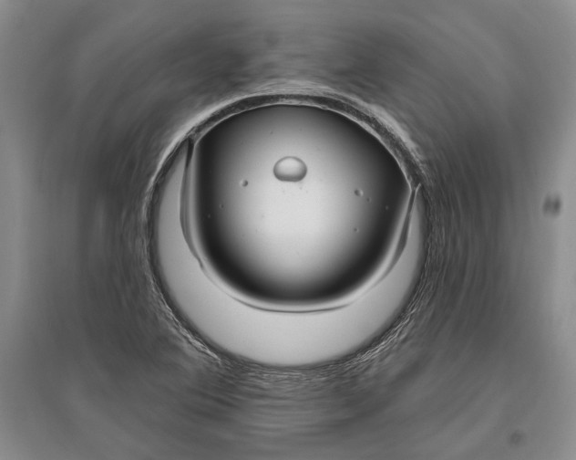 X0000096991364200802291159