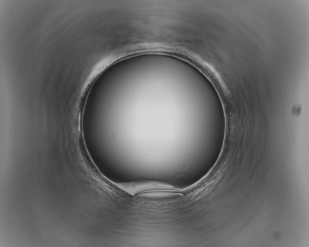 X0000096991365200802291159