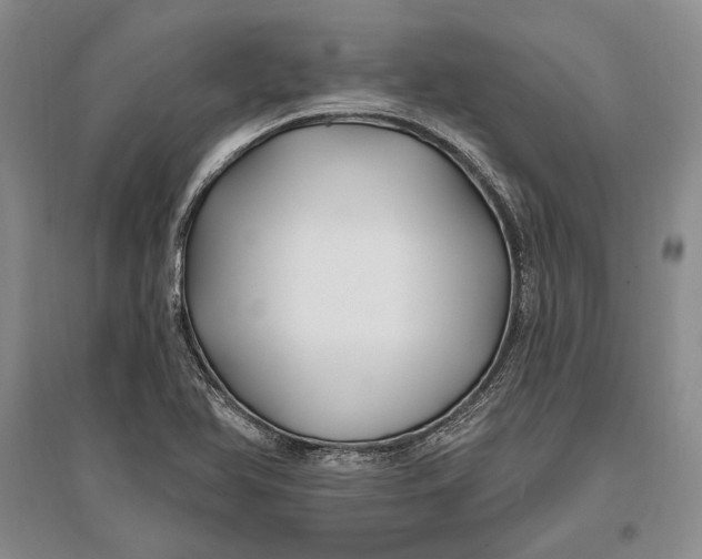 X0000096991366200802291159