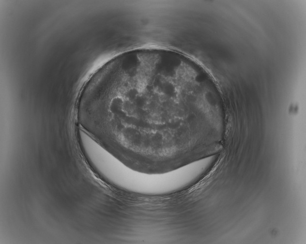 X0000096991367200802291159