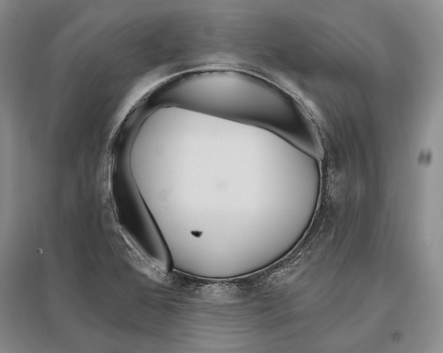 X0000096991368200802291159