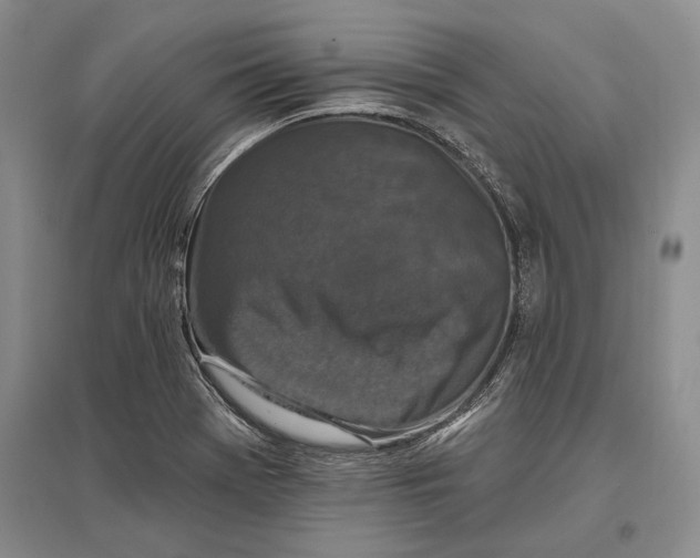 X0000096991369200802291159