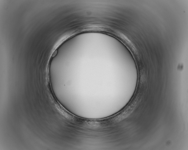 X0000096991370200802291159