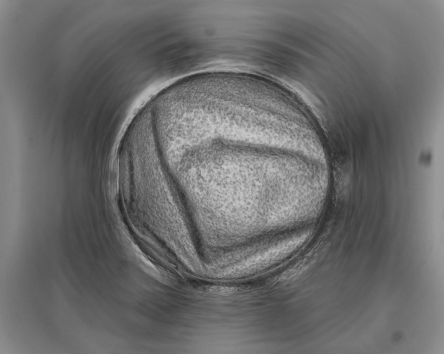 X0000096991371200802291159