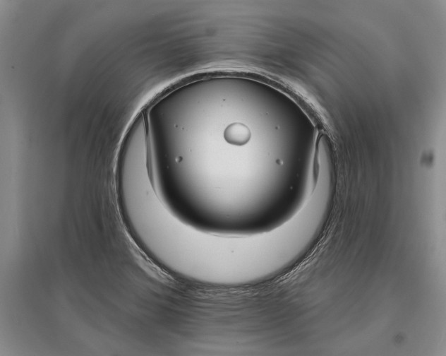 X0000096991372200802291159