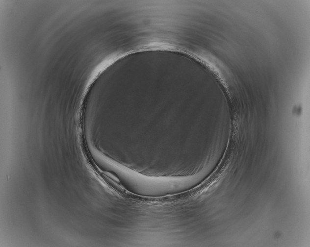 X0000096991373200802291159